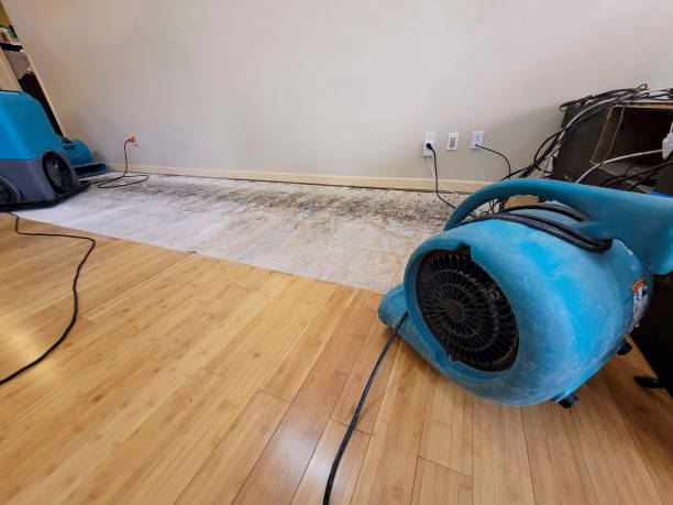 Professional Flood Damage Cleanup technician working in Strawn, TX